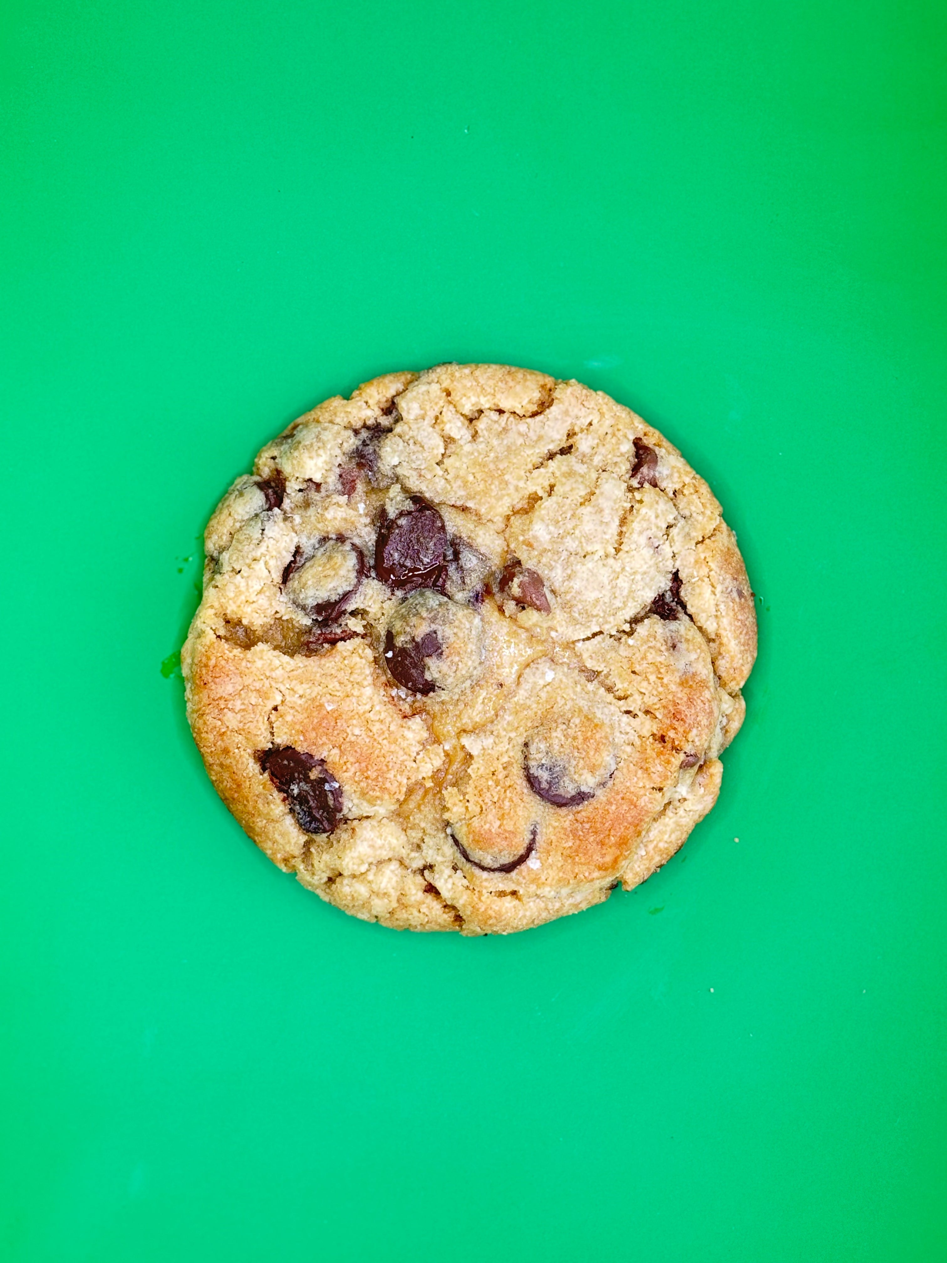 Chocolate Chip